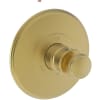 Satin Gold (PVD)