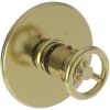 Polished Brass Uncoated (Living)