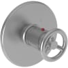 Stainless Steel (PVD)