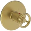 Satin Gold (PVD)