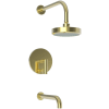 Forever Brass (PVD)