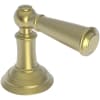 Satin Brass (PVD)