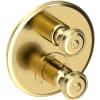 Forever Brass (PVD)