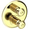 Polished Brass Uncoated (Living)