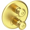 Satin Brass (PVD)