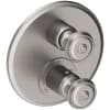 Stainless Steel (PVD)