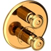 Polished Gold (PVD)