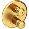 Satin Gold (PVD)