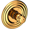 Polished Gold (PVD)
