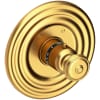 Satin Gold (PVD)