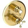 Forever Brass (PVD)