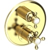 Polished Brass Uncoated (Living)