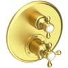 Satin Brass (PVD)