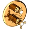 Polished Gold (PVD)