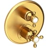 Satin Gold (PVD)