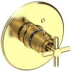 Polished Brass Uncoated (Living)