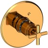 Polished Gold (PVD)