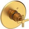 Satin Gold (PVD)