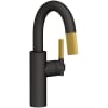 Flat Black / Satin Brass (PVD)