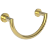 Polished Gold (PVD)