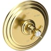 Forever Brass (PVD)
