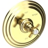 Polished Brass Uncoated (Living)