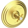 Satin Brass (PVD)