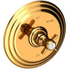 Polished Gold (PVD)