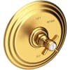 Satin Gold (PVD)