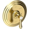 Forever Brass (PVD)