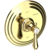 Polished Brass Uncoated (Living)