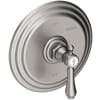 Stainless Steel (PVD)