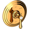 Polished Gold (PVD)
