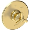Forever Brass (PVD)