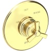 Polished Brass Uncoated (Living)
