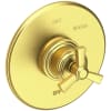 Satin Brass (PVD)