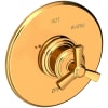Polished Gold (PVD)
