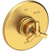 Satin Gold (PVD)
