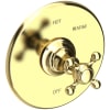 Polished Brass Uncoated (Living)