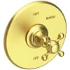 Satin Brass (PVD)