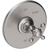 Stainless Steel (PVD)