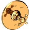 Polished Gold (PVD)