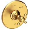 Satin Gold (PVD)