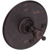 Venetian Bronze