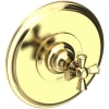 Polished Brass Uncoated (Living)