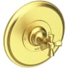 Satin Brass (PVD)