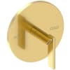 Forever Brass (PVD)