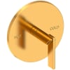 Aged Brass