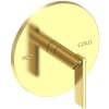 Polished Brass Uncoated (Living)