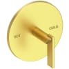 Satin Brass (PVD)